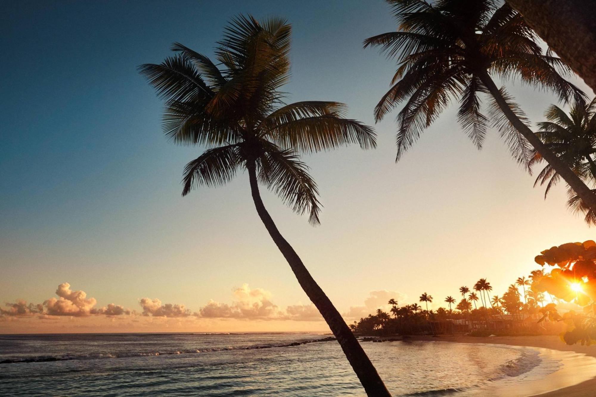 Dorado Beach, A Ritz-Carlton Reserve Esterno foto
